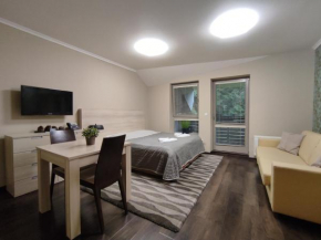 WELLNESS APARTMÁN RESIDENT HARRACHOV C206 Slunné Studio 1KK s kuchyní a balkonem